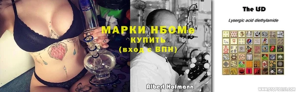 молекула духа Арсеньев