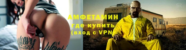 молекула духа Арсеньев