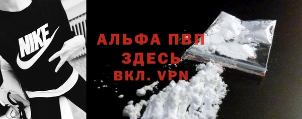 молекула духа Арсеньев